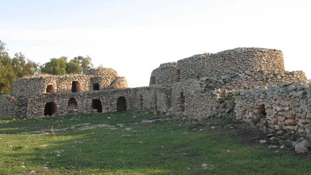 Tazotas des Doukkala, près d'El Jadida. La construction de ce type de cabane agricole, en pierre sèche, remonte à la première moitié du XXe siècle, période au cours de laquelle les nomades de cette région ont été contraints de se sédentariser.  
