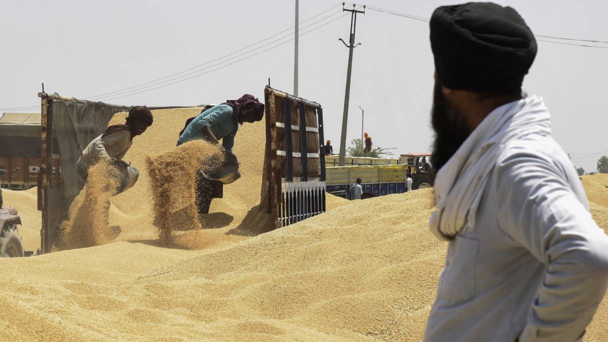 Des ouvriers déchargent du blé d'une remorque sur un marché céréalier en gros à la périphérie d'Amritsar le 16 avril 2022.
