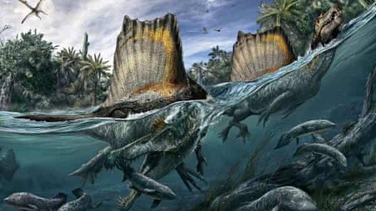 Le dinosaure Spinosaurus, un géant aquatique.
