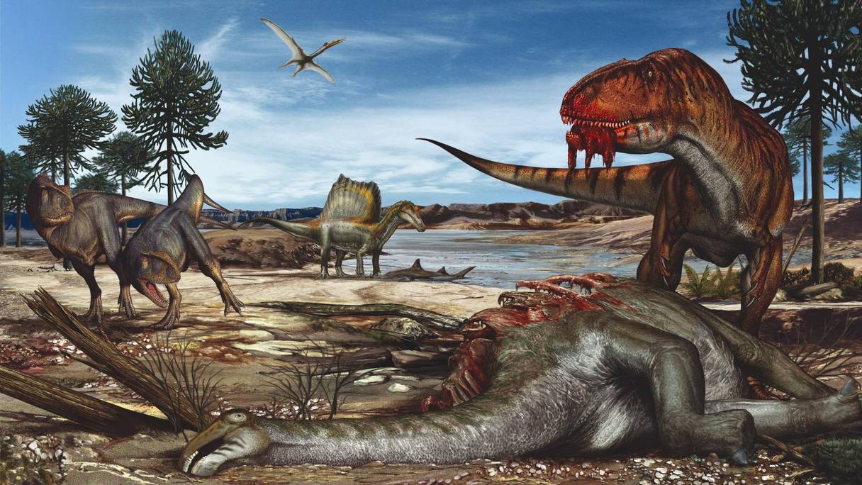 Il y a 100 millions d'années, les dinosaures vivaient à Kem Kem, dans la région de Draâ-Tafilalet
