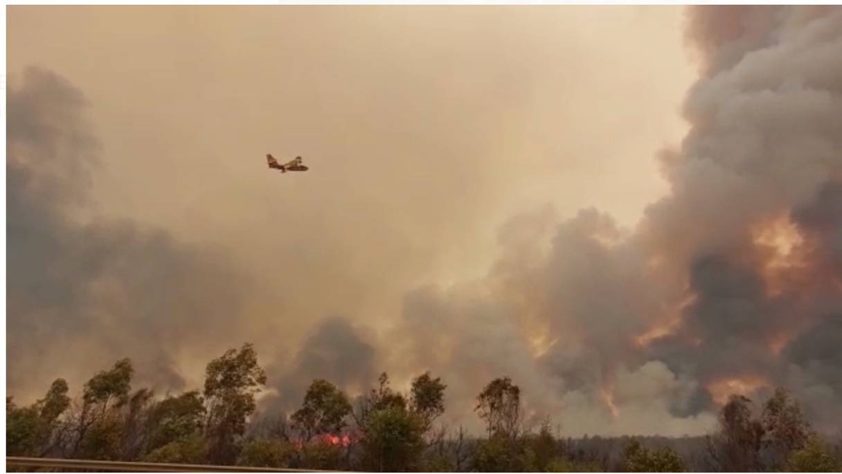 L'un des trois canadairs déployés pour éteindre l'incendie de la forêt de Khémis Sahel, dans la province de Larache, le 14 juillet 2022.
