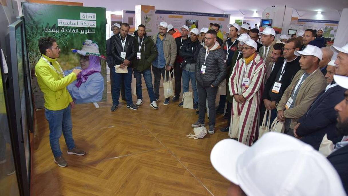 Des agriculteurs participent à un atelier dans le cadre du dispositif «Al Moutmir Itinérant» dédié à l’olivier. 
