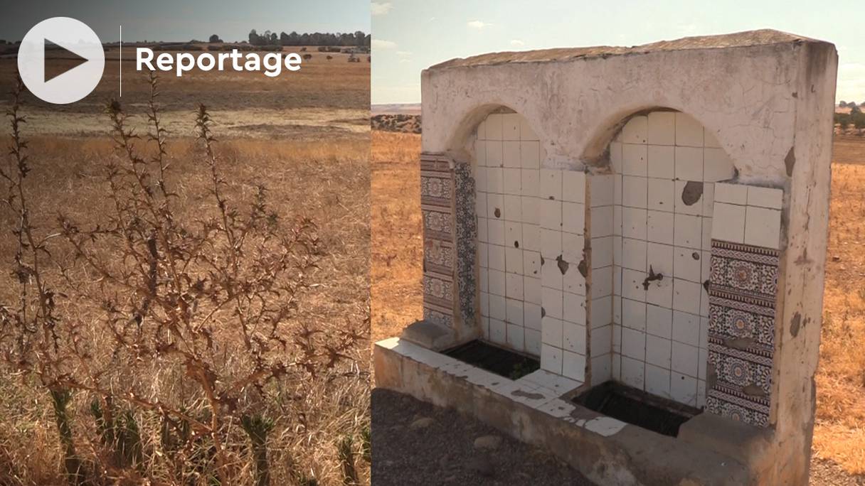 A Aït Mallek (district de Sidi Allal El Bahraoui, près de Rabat), des fontaines d’eau raccordées au réseau de l’ONEE, qui permettaient aux agriculteurs de s’approvisionner, ont été fermées.
