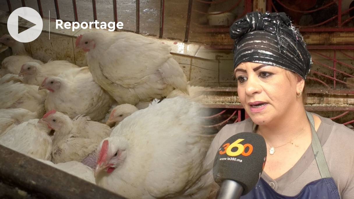 Une vendeuse de volaille au détail explique pour Le360 les raisons de la flambée du prix du poulet.
