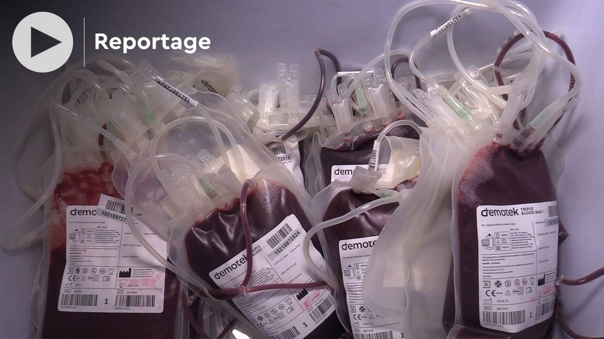 Jeudi 22 avril 2021, une campagne de collecte de sang a été l’occasion de rendre hommage au fondateur d’une des premières associations de donneurs de sang d’Oujda, Houcine Mjahdi, récemment décédé des suites du Covid-19.

