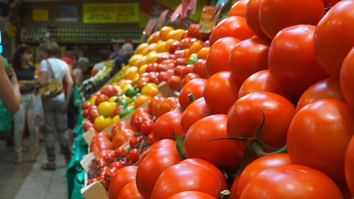 Ce ramadan, l’offre en tomate dépasse la demande de près de 33%.
