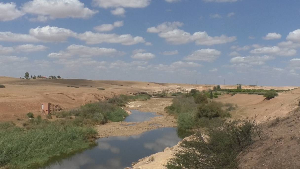 Deuxième plus grand oued du Royaume, et long de 550 km, le lit de l’Oum Errabia pâtit en 2022 des effets de la sécheresse pour la quatrième année consécutive.
