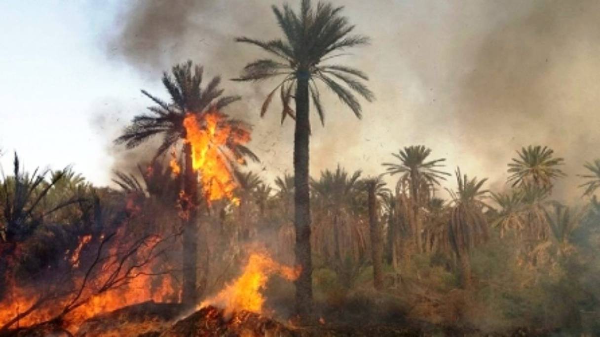 Un incendie dans une des oasis situées près de Guelmim (photo d'archives). 
