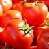 Limitation des exportations de la tomate: les professionnels montent au créneau