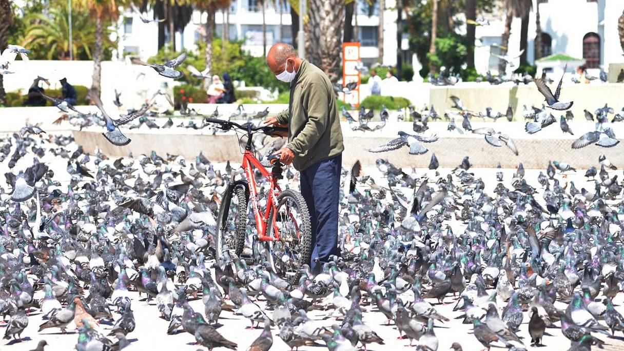 La place Mohammed V, dite place des pigeons, à Casablanca au temps du coronavirus.
