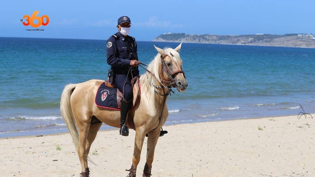 À Tanger, un policier de la brigade montée veille au respect des mesures de l'état d'urgence sanitaire.
