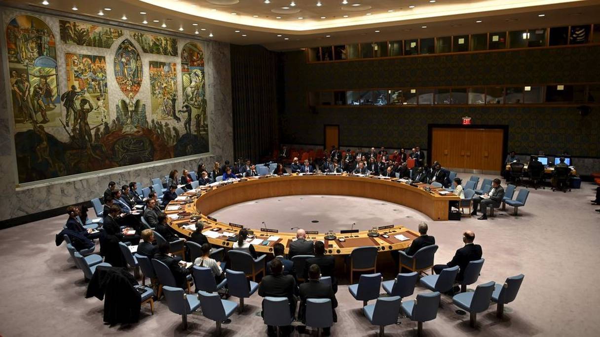 Conseil de sécurité de l'ONU.
