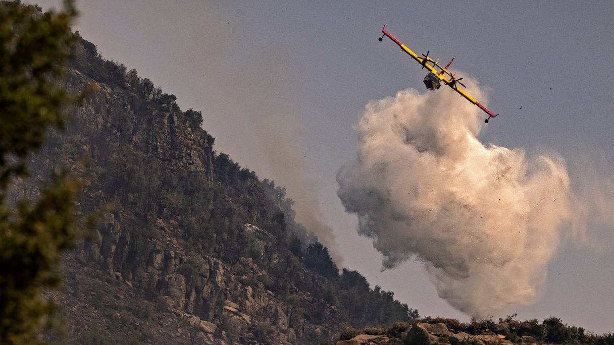 Un avion Canadair des FRA éteint un incendie de forêt dans la région de Chefchaouen, dans le nord du Maroc, le 16 août 2021.
	 
