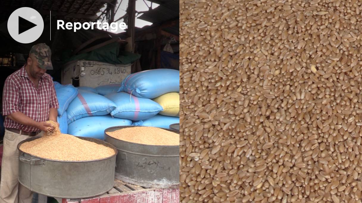 A la halle aux grains de Derb Sultan, à Casablanca, la demande est plus forte que l’offre, et le prix des marchandises augmente. En comparaison avec l’année dernière, c'est près du double. 
