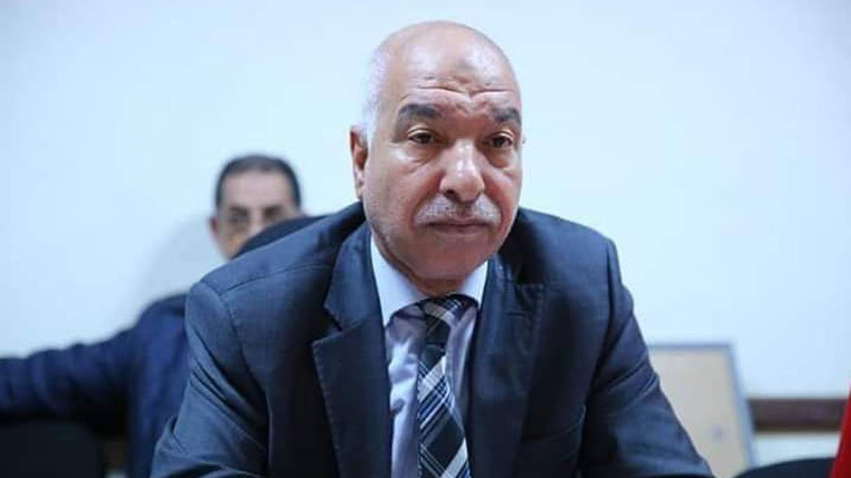 Ahmed Brija est député du Parti authenticité et modernité (PAM, coalition gouvernementale) et conseiller communal de la Ville de Casablanca. 
