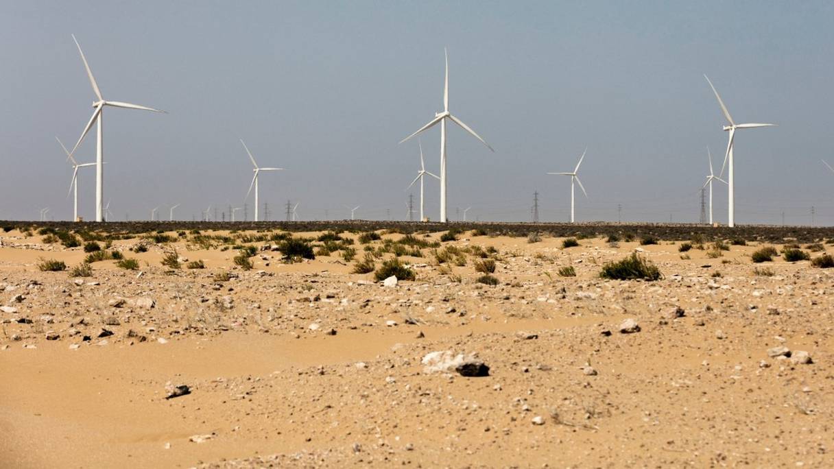 Entré en service fin 2014, le parc éolien de Tarfaya, dans la région de Laâyoune-Sakia El Hamra, est le plus grand d'Afrique. Ses 130 turbines et 131 éoliennes de 81 mètres de hauteur couvrent les besoins en électricité de plusieurs centaines de milliers de personnes. 
