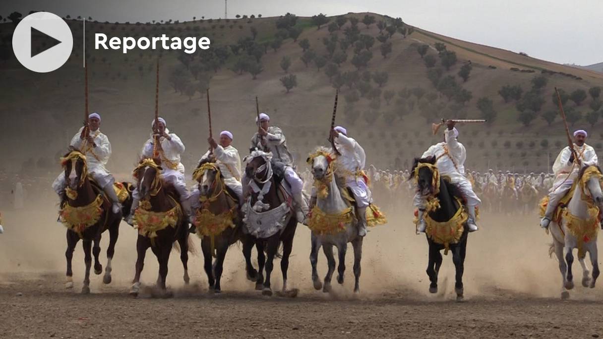 Des cavaliers actionnent leur moukehla, au cours d'une tbourida à Tissa (province de Taounate). 
