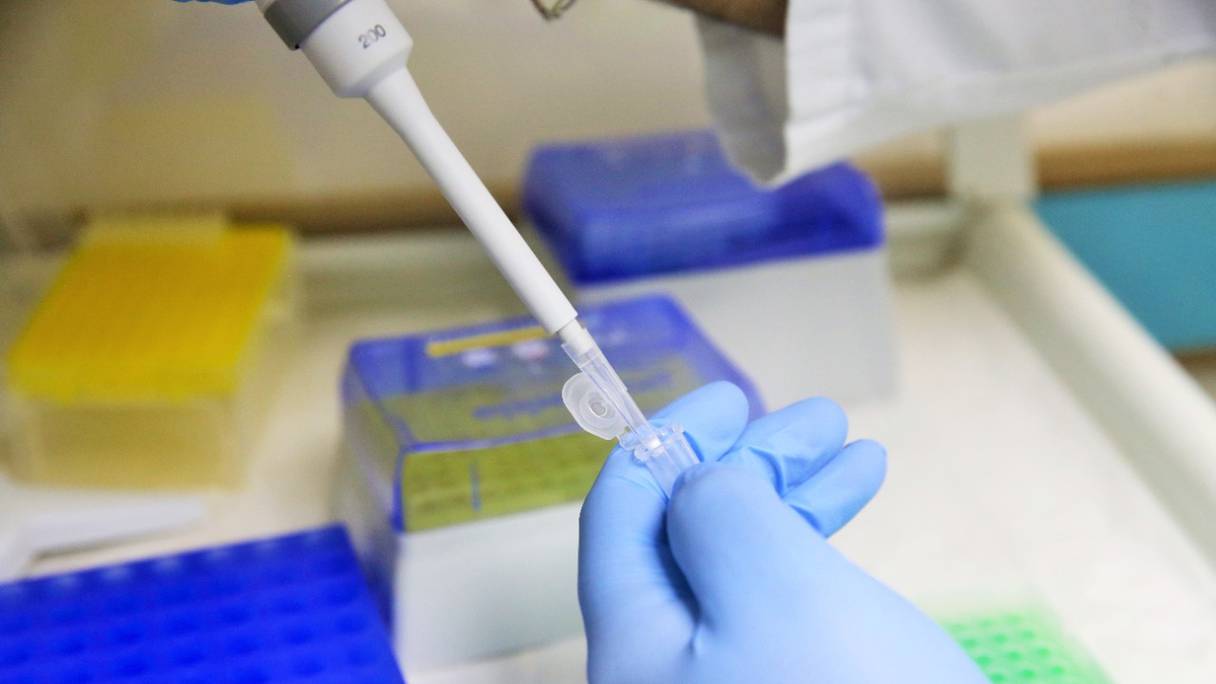 Un laboratoire mobile d'analyses de biologie moléculaire, spécialisé dans le dépistage du Covid-19, avec une capacité allant jusqu’à 500 analyses quotidiennes, fait escale à Larache pour accélérer la cadence des tests de dépistage, le 22 juin 2020. 
