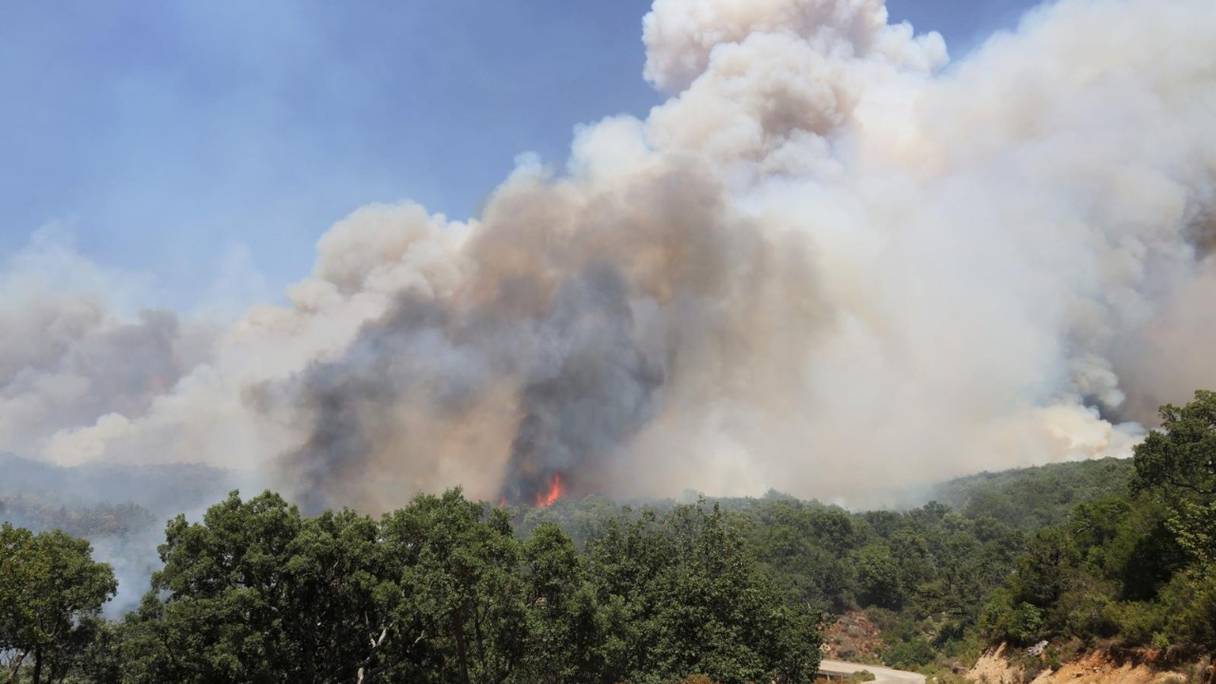 L'incendie qui s'est déclaré dans la forêt Dahr Benomar dans la commune Ain Tizgha (Benslimane) a détruit 2,9 hectares.

