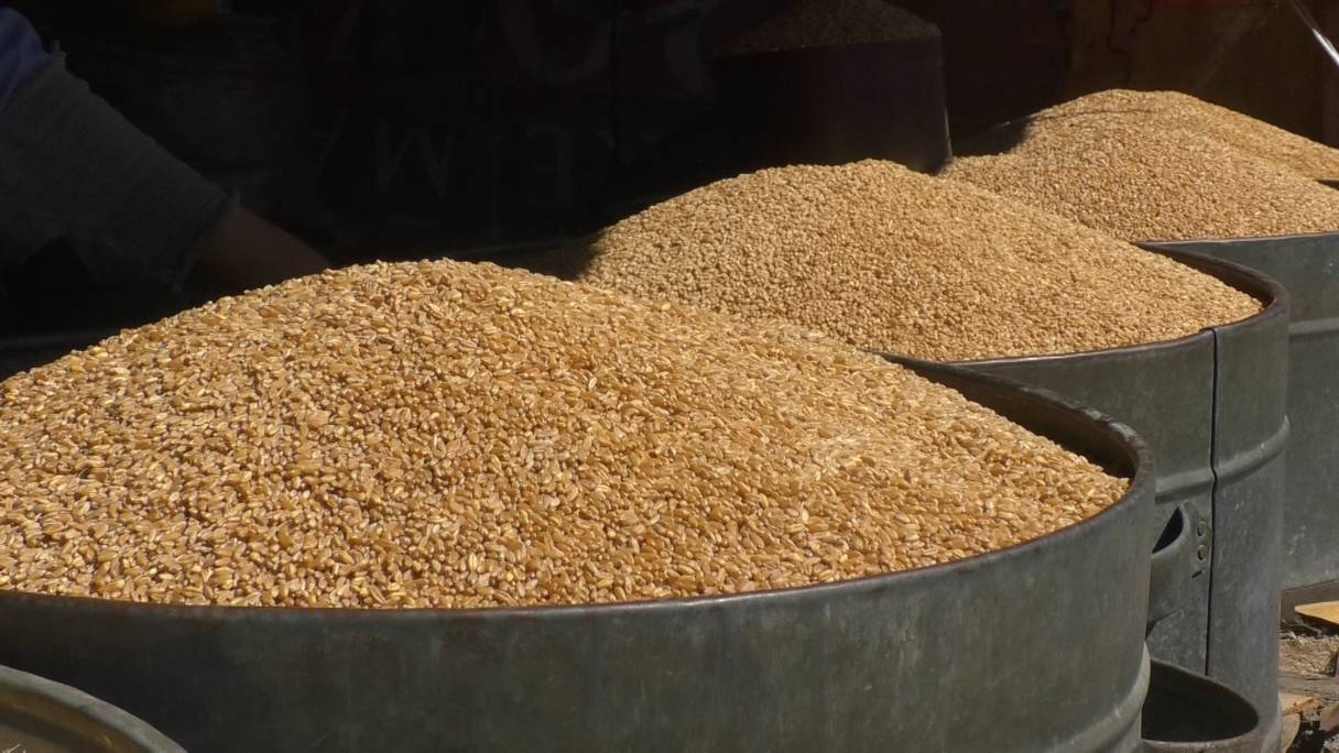 Le prix du blé a légèrement baissé au marché des céréales et des légumineuses de Casablanca.
