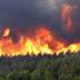 Nord: des mesures pour protéger les forêts des feux en été