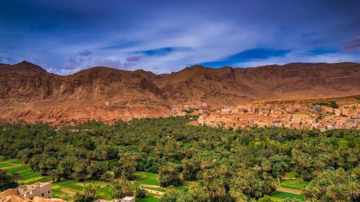 Oasis du Tafilalet. Région historique au sud-est du Maroc, le Tafilalet comprend un ensemble d'oasis, dans les basses vallées des oueds Ziz et Ghéris. Déclaré Site du patrimoine mondial de l'Unesco le 15 janvier 2005, il s'agit, en superficie, de la plus grande zone oasienne au monde. 
