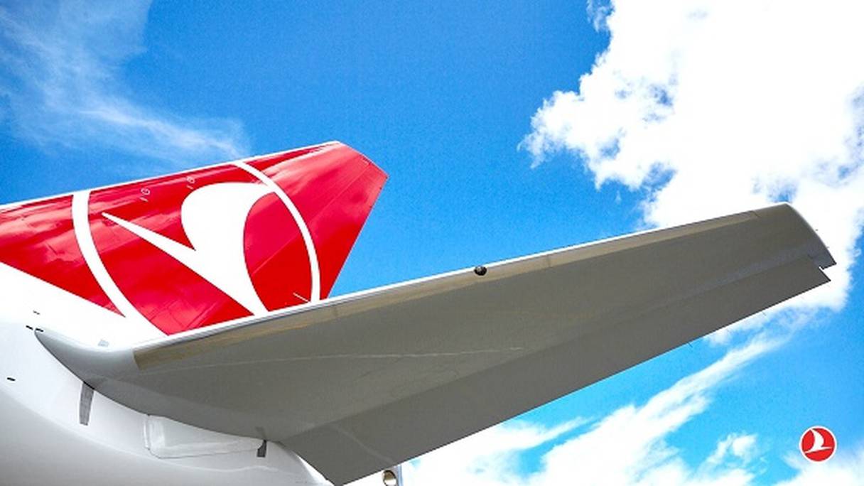 Détail d'un avion de Turkish Airlines (photo d'illustration)

