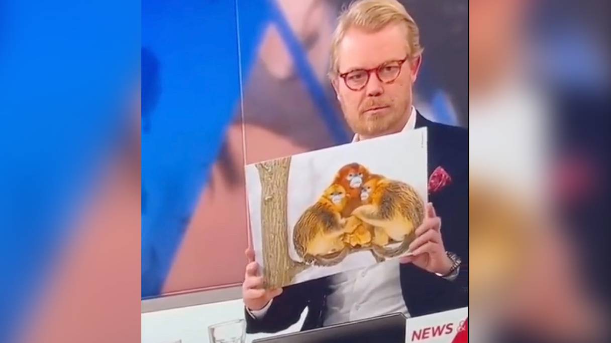 L’animateur de télévision danois Søren Lippert brandissant une affiche de primates pour illustrer l'affection des Lions de l'Atlas pour leurs mères.
