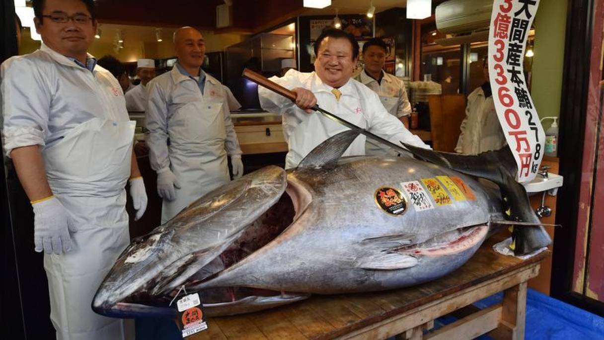 Ce thon géant a coûté 1,5 million d'euros.
