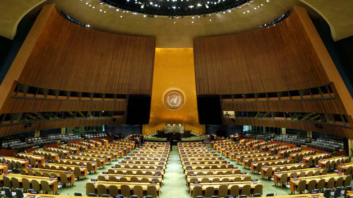 L'Assemblée générale de l'ONU.
