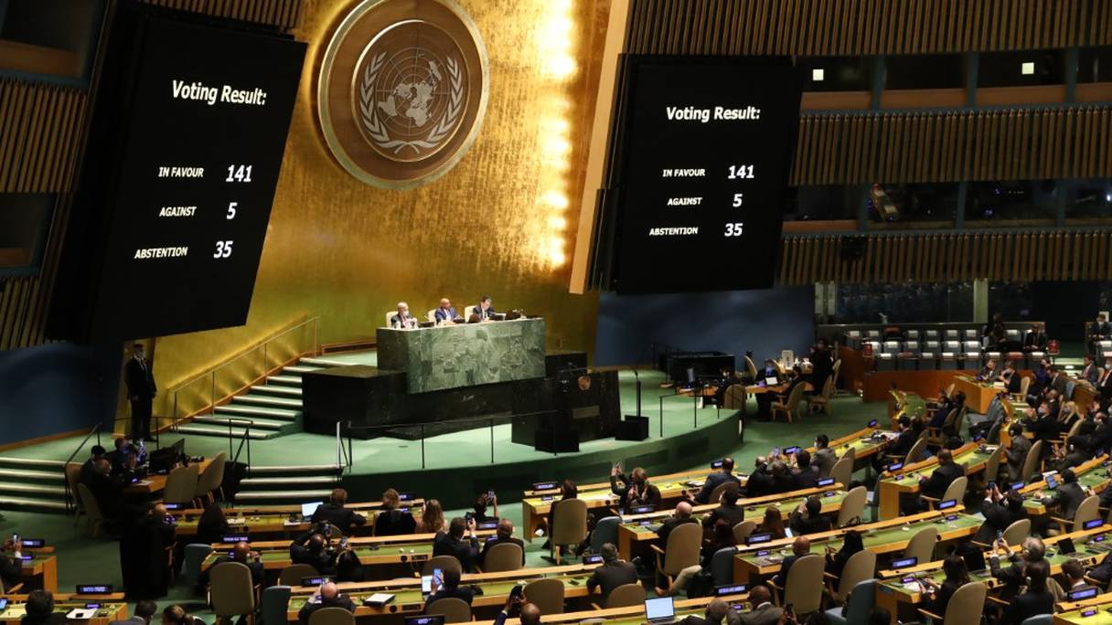 A l'Assemblée générale de l’ONU, le 2 mars 2022, les députés ont voté à une écrasante majorité pour une résolution non contraignante qui condamne la Russie pour son invasion de l'Ukraine et exige que la Russie retire immédiatement ses forces du pays.
