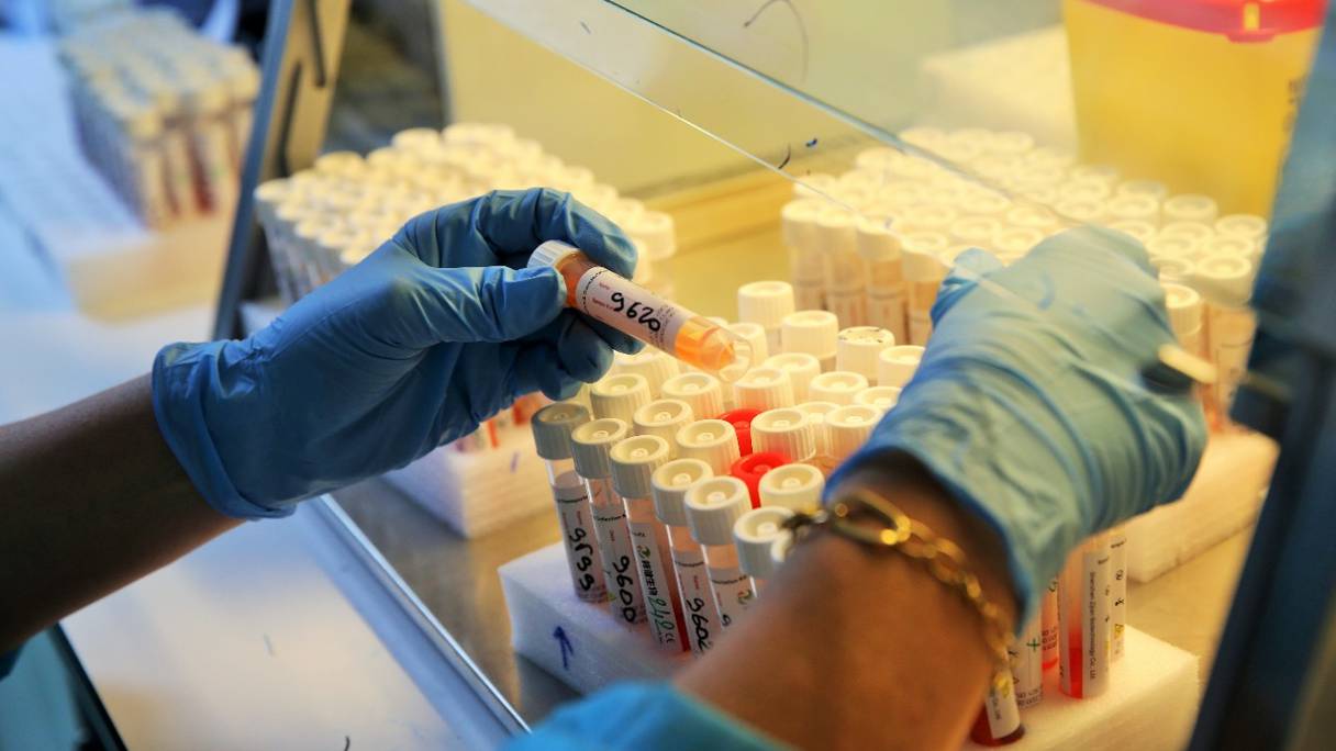 Un laboratoire mobile d'analyses de biologie moléculaire, spécialisé dans le dépistage du Covid-19, avec une capacité de 500 analyses quotidiennes au maximum, fait escale à Larache, le 22 juin 2020, pour accélérer la cadence des tests de dépistage du virus.
