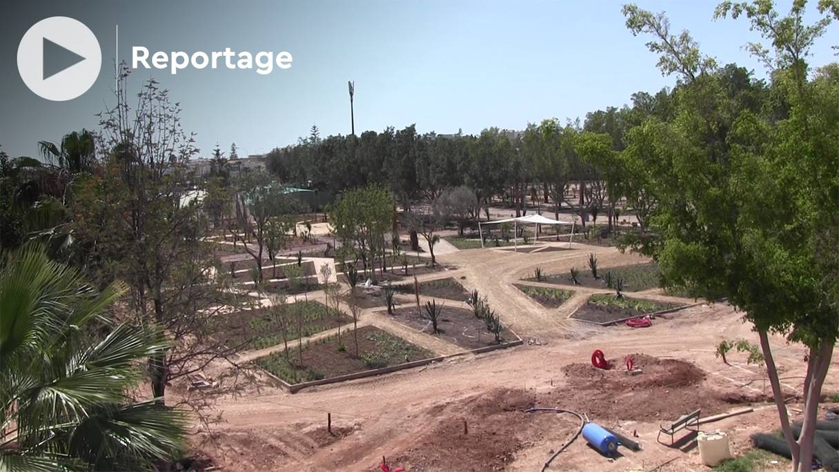 Les travaux de réaménagement des jardins du complexe Jamal Dorra, à Agadir, seront terminés d'ici fin 2021.
