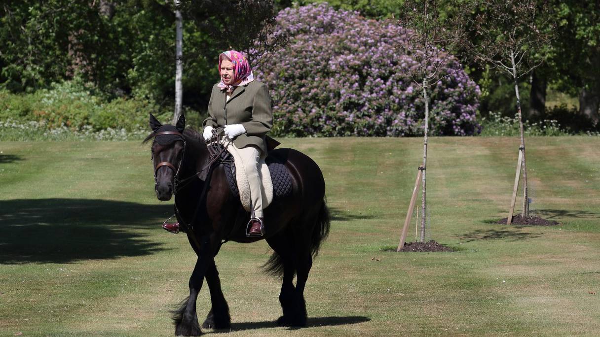 Elizabeth II de Grande-Bretagne chevauche Balmoral Fern, un Fell Pony de 14 ans, à Windsor Home Park, à l'ouest de Londres, le 31 mai 2020. Les puddings seront la pièce maîtresse des célébrations marquant les 70 ans de sa montée sur le trône, a annoncé Buckingham.
