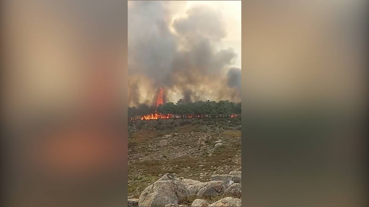 Un incendie s'est déclaré à Bab Taza, près de Chefchaouen, le 14 août 2021.
