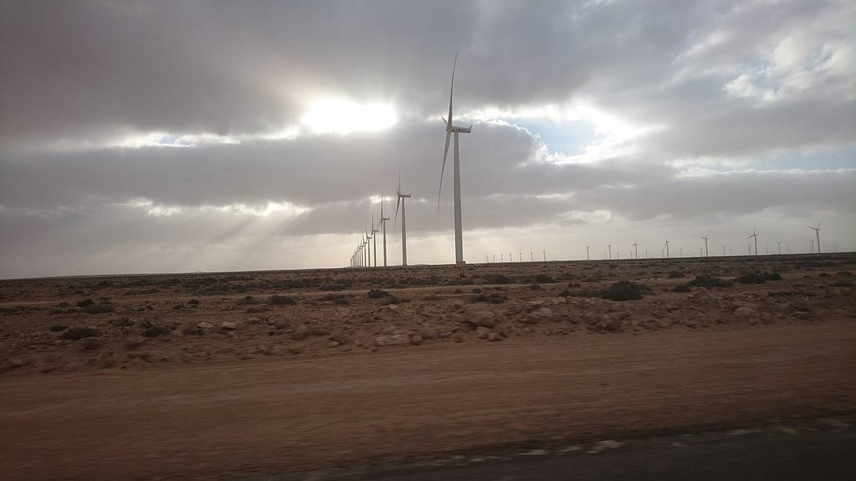 Entré en service fin 2014, le parc éolien de Tarfaya (Laâyoune-Sakia El Hamra), est le plus grand d'Afrique. Ses 130 turbines et ses 131 éoliennes de 81 mètres de hauteur couvrent les besoins en électricité de plusieurs centaines de milliers de personnes.
