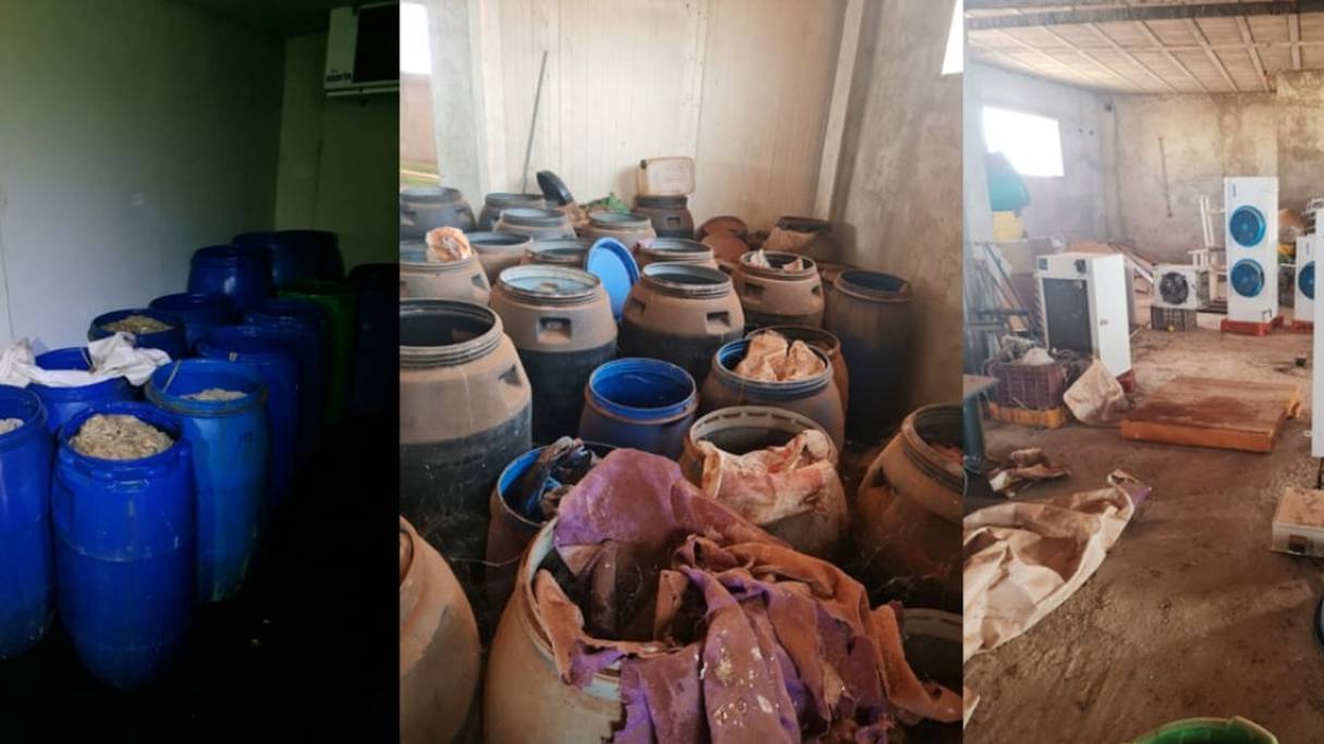 Trente tonnes de boyaux de bétail utilisés pour la préparation de saucisses ont été saisis par les éléments de la Brigade de la police judiciaire relevant du district provincial de la sûreté de Berkane, ce lundi 6 septembre 2021.
