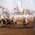 Politiciens et élus accusés d’exploiter les festivals à des fins électorales