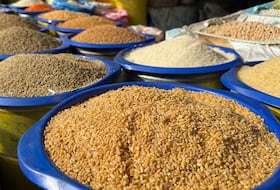 اكتشف أسعار القطاني بسوق الحبوب بالدار البيضاء