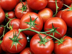 Tomates
