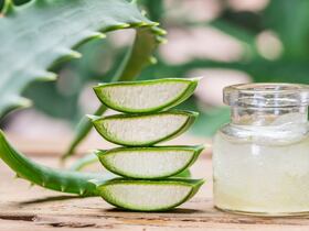L'aloe vera est un véritable bouclier naturel pour la peau.