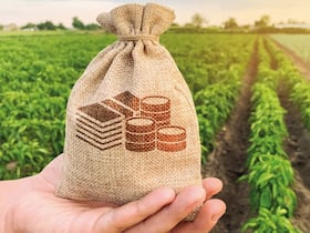 Les terres soulaliyates sont une mine d'or.