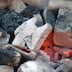 Flambée historique des prix du charbon de bois à l’approche de l’Aïd El Kébir