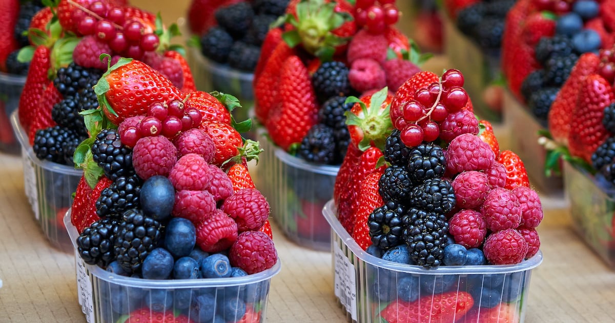 Plantes Avec Fruits Rouges Maroc Fruits rouges: comment le Maroc a conquis les marchés internationaux ...