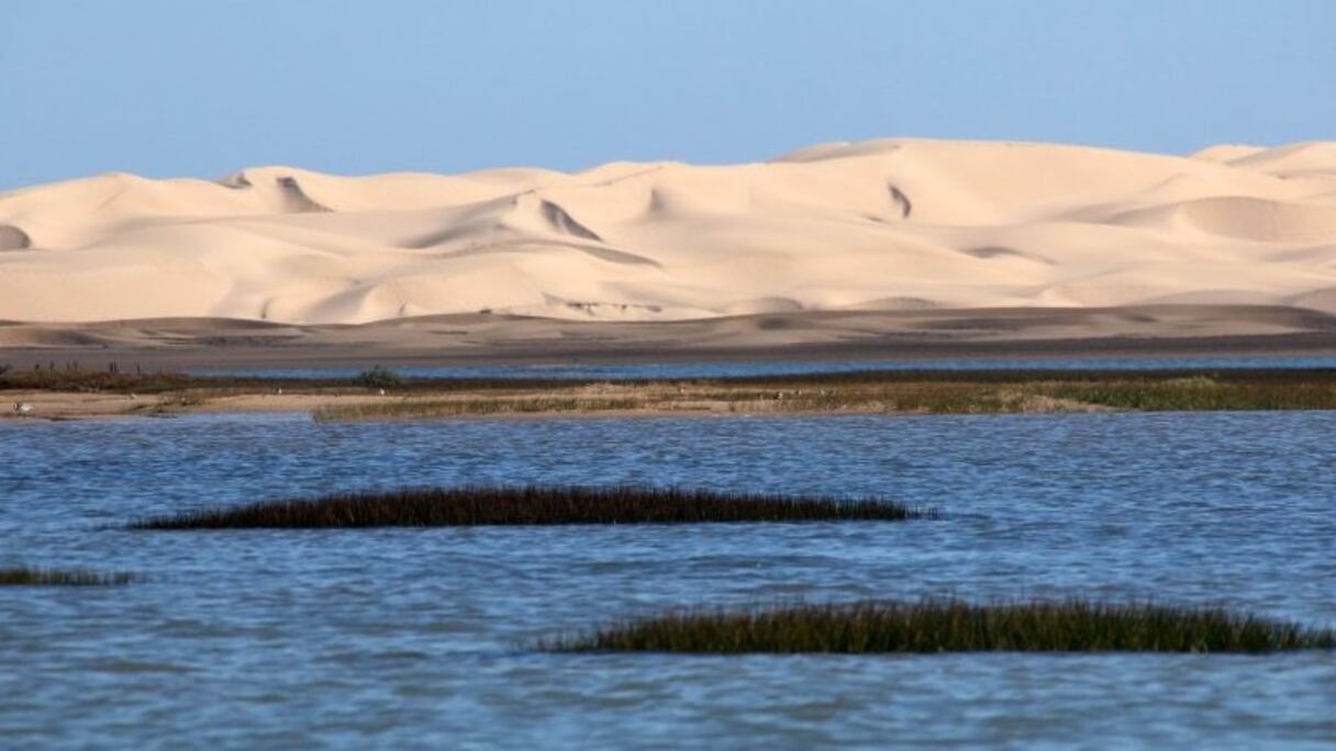Lagune de Naila, parc national de Khenifiss (entre Tan Tan et Tarfaya). Ce lieu naturel et biologique possède un immense potentiel éco-touristique. La baie de Khenifiss a été reconnue site Ramsar en 1980.