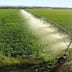 Souss-Massa: un nouveau périmètre irrigué pour booster l’agriculture