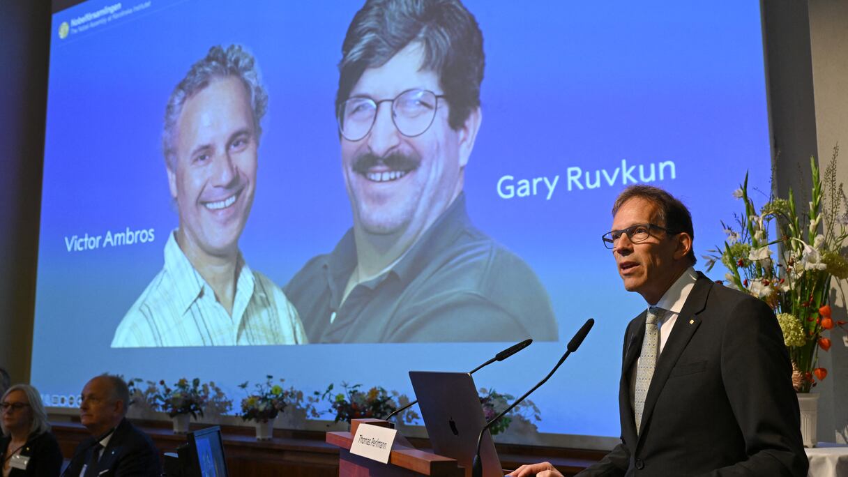 Le secrétaire général du Comité Nobel, Thomas Perlmann, s'adresse aux médias devant une photo des lauréats de cette année, Victor Ambros et Gary Ruvkum, lors de l'annonce des lauréats du prix Nobel 2024 de physiologie ou médecine à l'Institut Karolinska de Stockholm, le 7 octobre 2024.