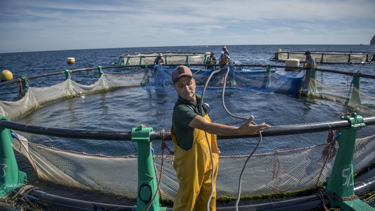 Une ferme piscicole près de Nador, au Maroc. Photographie d'illustration.