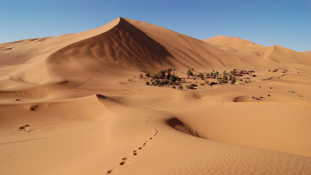 Erg Chebbi (dans les environs des dunes de Merzouga, province d'Errachidia). Cette dune remarquable, aux couleurs allant de l'ocre à différentes teintes d'orangé, selon l'heure et la lumière du jour, est d'une longueur de près de 30 km, sur près de 5 km de large.