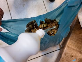 اتلاف شريحة فاسدة